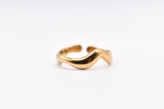 Through the sea ring
